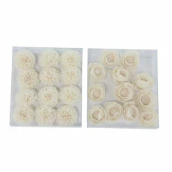 Discount ✔️ Studio 350 Boxed Natural White Peony And Ranunculus Sola Flowers (Set Of 2) 🎉