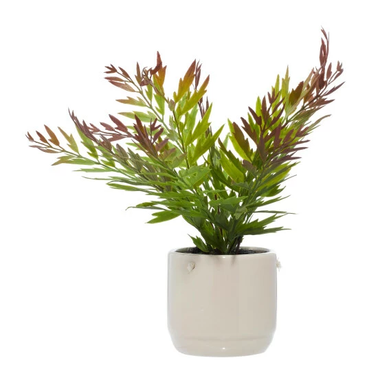 Best Pirce ๐ Studio 350 Beige Ceramic Contemporary Artificial Foliage 13 X 11 X 12 - 11 X 12 X 13 ๐ - Image 3