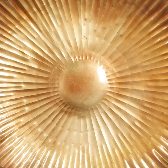 Best Sale ๐ Studio 350 Gold Iron Contemporary Wall Decor (Set Of 3) - 36 X 5 X 36 ๐ - Image 5