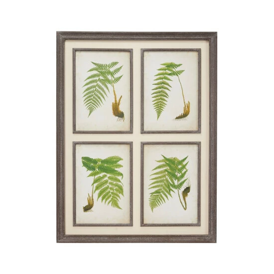 Discount ✔️ Studio 350 Large Rectangular Vintage Style Green Fern Illustrations Wall Art, 31.5 X 41.5 - 32 X 1 X 42 ❤️ - Image 3