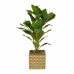 Buy 💯 Studio 350 Gold Porcelain Natural Artificial Foliage - 9"L X 9"W X 15"H 🎉