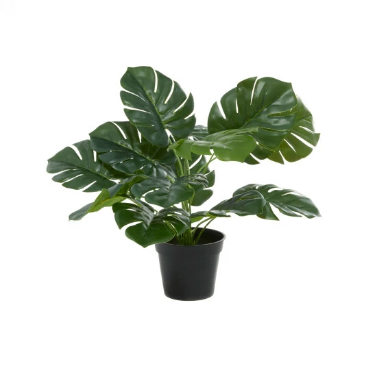 Promo ❤️ Studio 350 Green Polyethylene Traditional Artificial Foliage 16 X 21 X 20 - 21 X 20 X 16 🥰 - Image 3