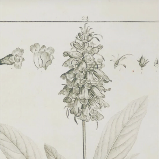 Cheap 😉 Studio 350 Light Brown Wood Vintage Framed Wall Art (Set Of 2) 😀 - Image 4