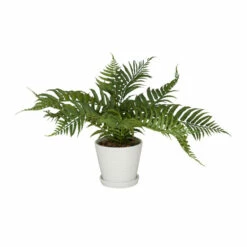 Brand new ๐งจ Studio 350 White Porcelain Natural Artificial Foliage - 19"L X 23"W X 14"H ๐