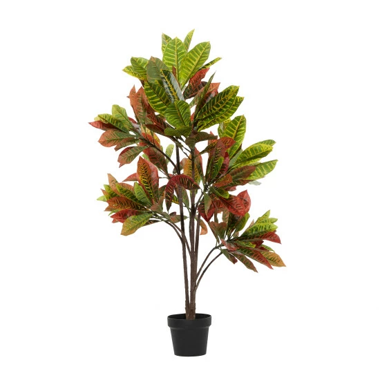 Top 10 🛒 Studio 350 49-in. Green And Red Faux Croton In Black Planter - 34 X 33 X 49 ❤️ - Image 4