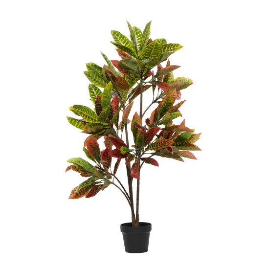 Top 10 🛒 Studio 350 49-in. Green And Red Faux Croton In Black Planter - 34 X 33 X 49 ❤️ - Image 8