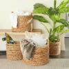 Top 10 🤩 Studio 350 Brown Dried Plant Material Coastal Storage Basket (Set Of 4) - S/4 17,15,13,11"W 🧨